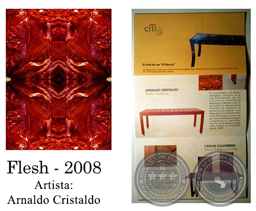 FLESH - Instalación de Arnaldo Cristaldo - Año 2008